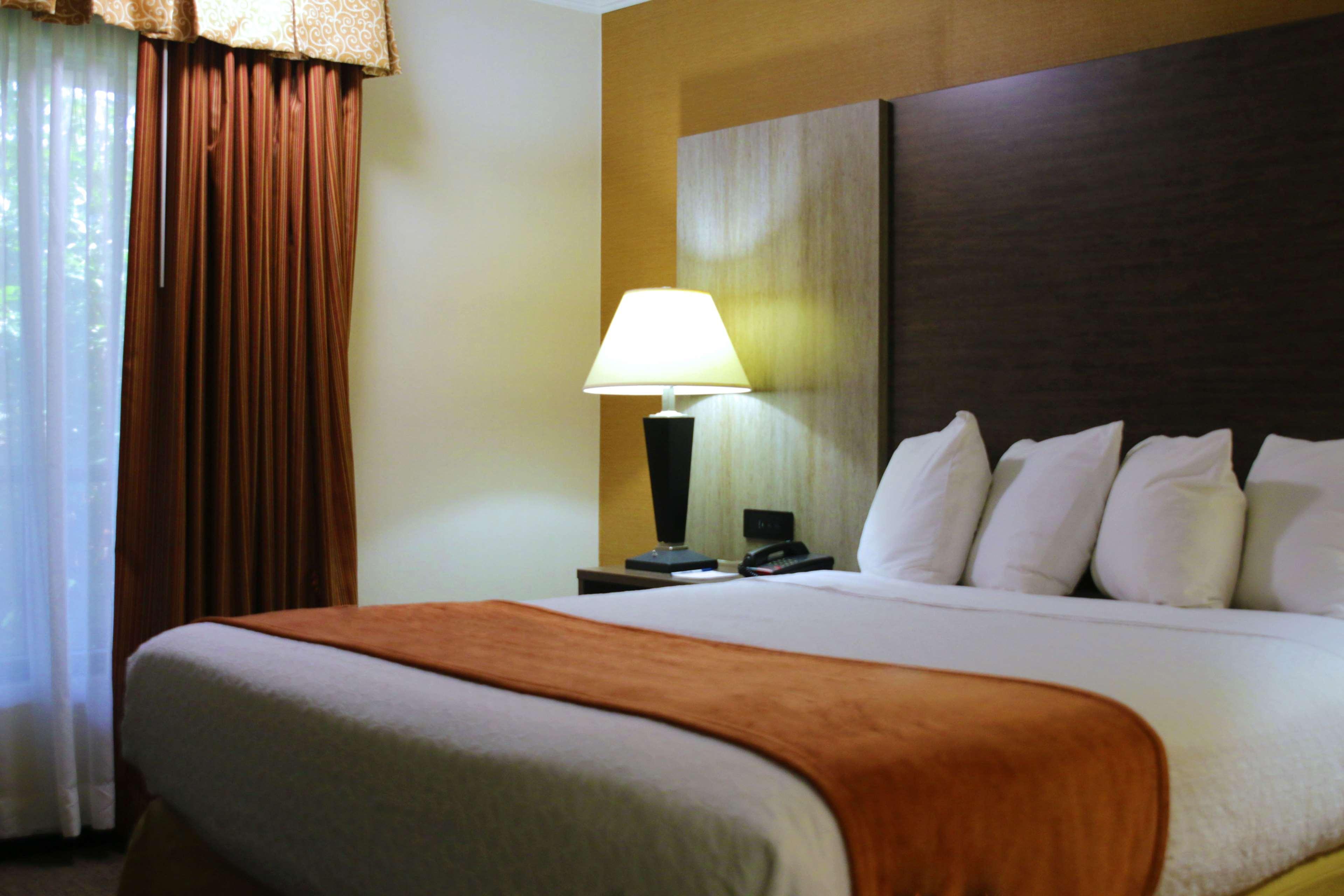 Best Western Galleria Inn & Suites Чіктоваґа Екстер'єр фото